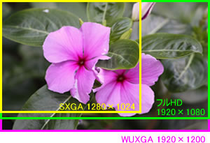 解像度 WUXGA(1920 x 1200ピクセル)標準対応